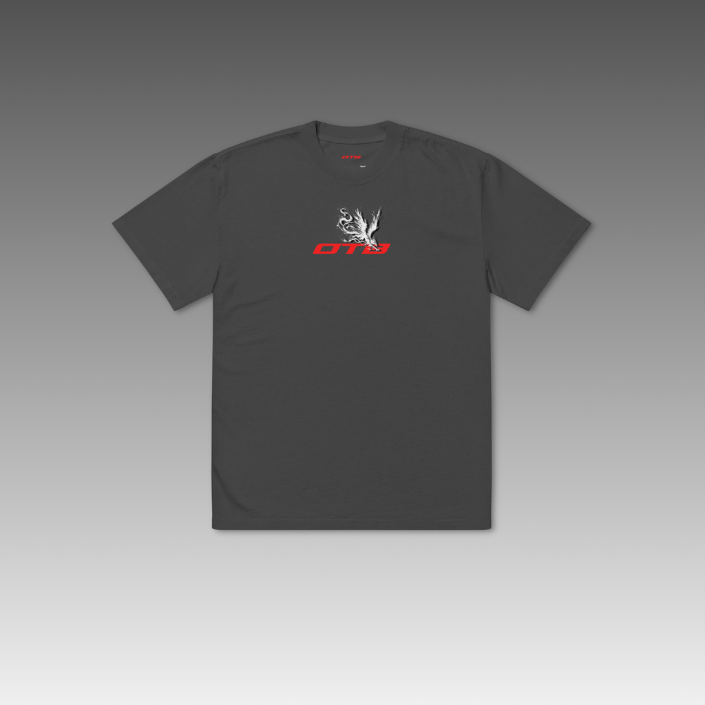 OTB DRACONIS Oversized Tee - Off The Backboard